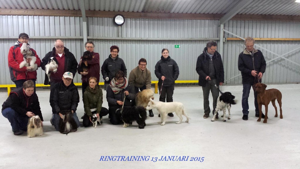 RINGTRAINING TEAM